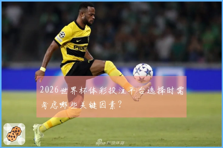 2026世界杯体彩投注平台选择时需考虑哪些关键因素？