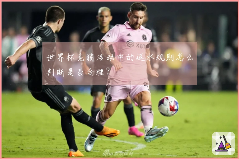 世界杯竞猜活动中的返水规则怎么判断是否合理？