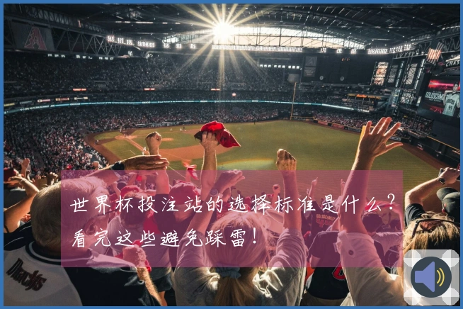 世界杯投注站的选择标准是什么？看完这些避免踩雷！