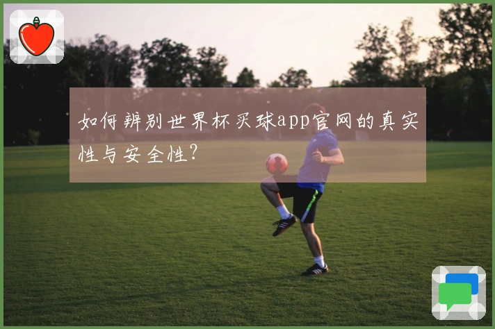 如何辨别世界杯买球app官网的真实性与安全性？
