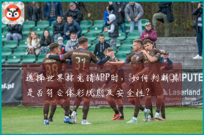选择世界杯竞猜APP时，如何判断其是否符合体彩规则及安全性？