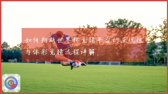 如何判断世界杯竞猜平台的正规性与体彩竞猜流程详解