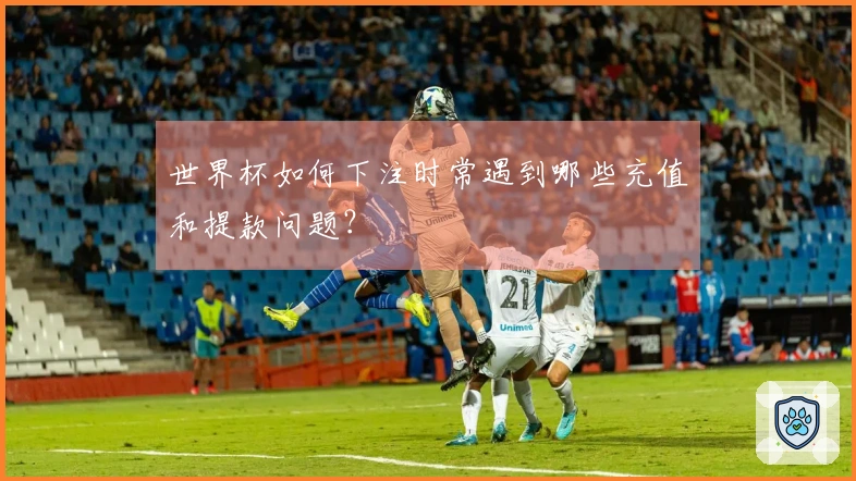 世界杯如何下注时常遇到哪些充值和提款问题？