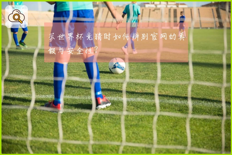 买世界杯竞猜时如何辨别官网的真假与安全性？