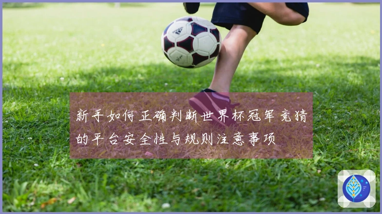 新手如何正确判断世界杯冠军竞猜的平台安全性与规则注意事项