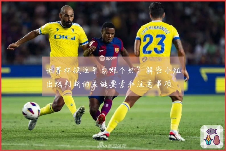 世界杯投注平台哪个好？解密小组出线判断的关键要素和注意事项