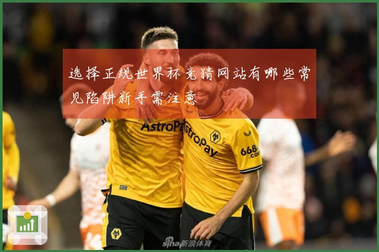 选择正规世界杯竞猜网站有哪些常见陷阱新手需注意