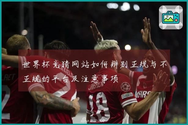 世界杯竞猜网站如何辨别正规与不正规的平台及注意事项