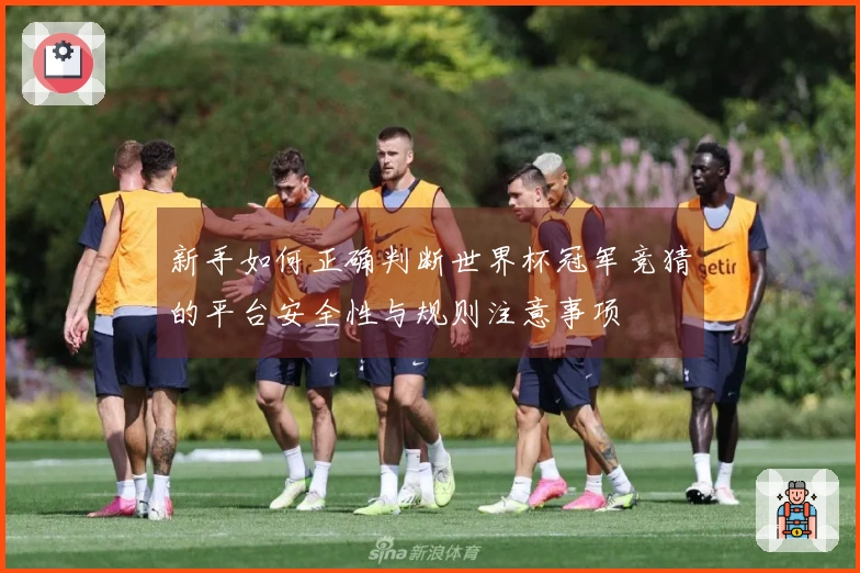 新手如何正确判断世界杯冠军竞猜的平台安全性与规则注意事项