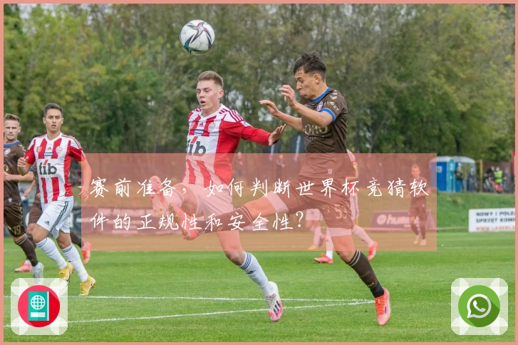 赛前准备，如何判断世界杯竞猜软件的正规性和安全性？