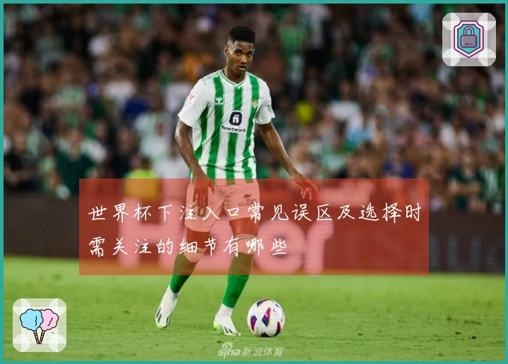 世界杯下注入口常见误区及选择时需关注的细节有哪些