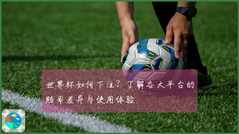 世界杯如何下注？了解各大平台的赔率差异与使用体验