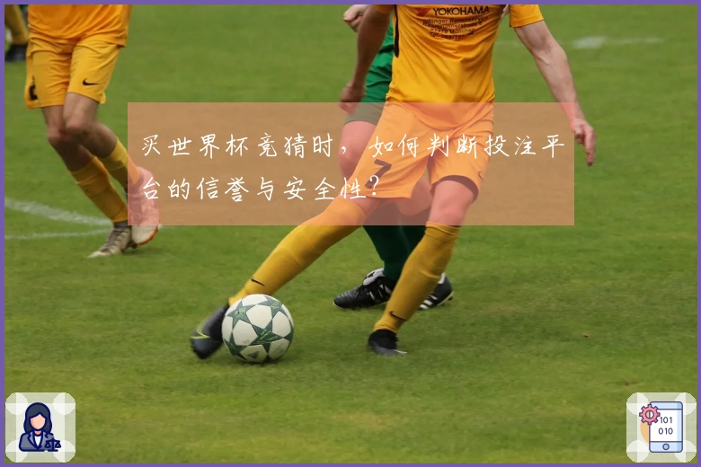 买世界杯竞猜时，如何判断投注平台的信誉与安全性？