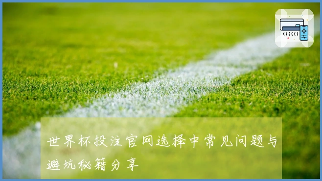 世界杯投注官网选择中常见问题与避坑秘籍分享