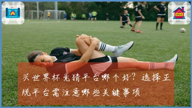 买世界杯竞猜平台哪个好？选择正规平台需注意哪些关键事项