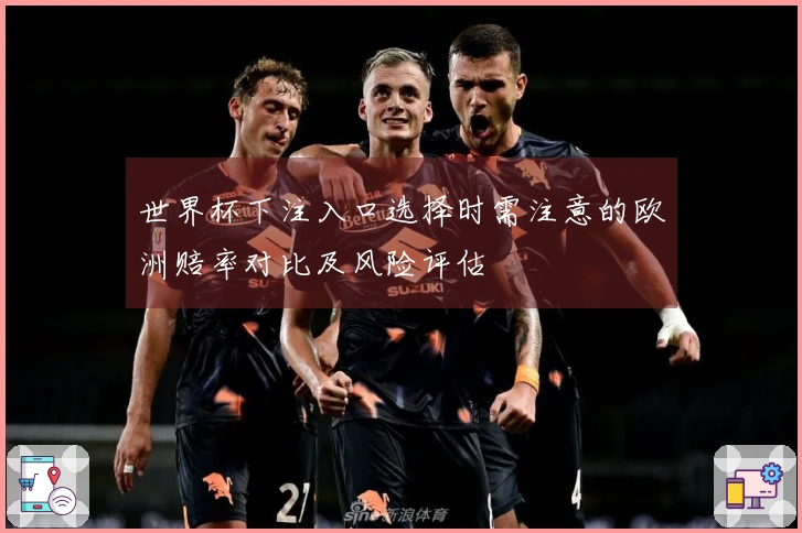世界杯下注入口选择时需注意的欧洲赔率对比及风险评估