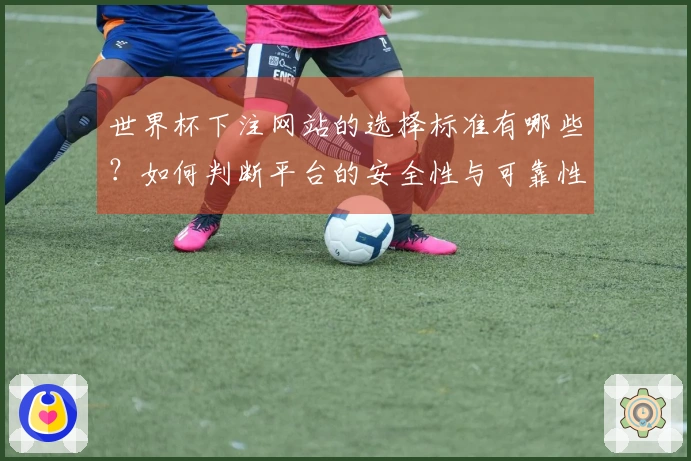 世界杯下注网站的选择标准有哪些？如何判断平台的安全性与可靠性？