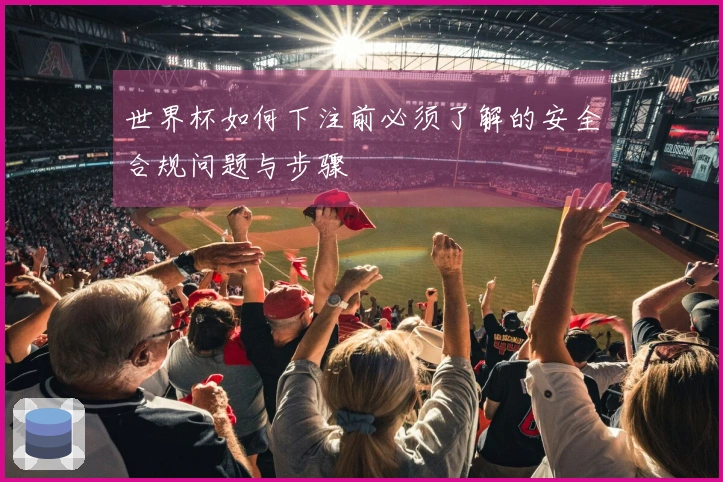 世界杯如何下注前必须了解的安全合规问题与步骤