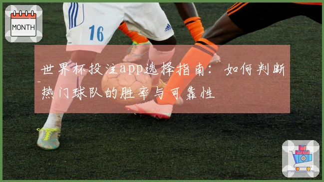 世界杯投注app选择指南：如何判断热门球队的胜率与可靠性