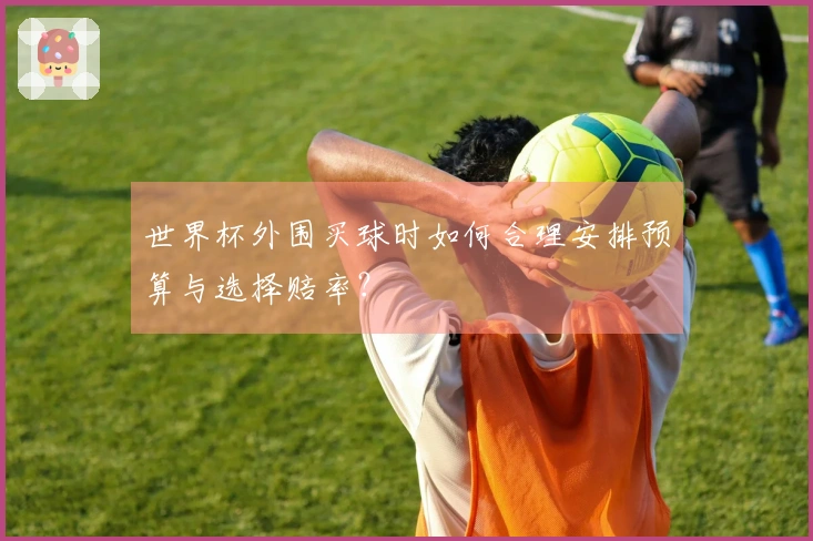 世界杯外围买球时如何合理安排预算与选择赔率？