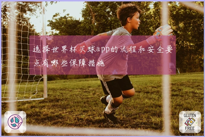 选择世界杯买球app的流程和安全要点有哪些保障措施